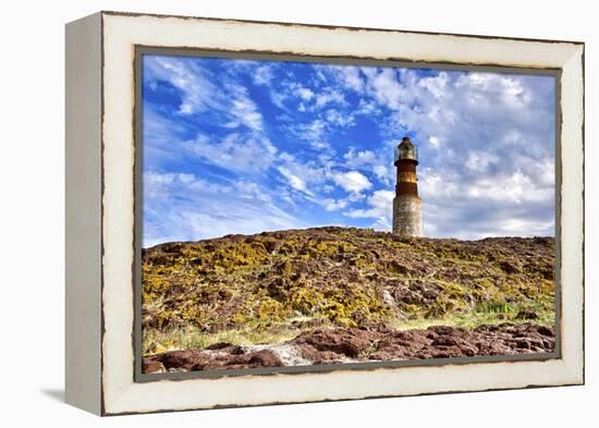 Argentina, Santa Cruz. Puerto Deseado, Penguin Island.-Michele Molinari-Framed Premier Image Canvas