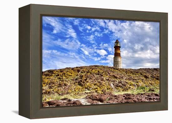 Argentina, Santa Cruz. Puerto Deseado, Penguin Island.-Michele Molinari-Framed Premier Image Canvas