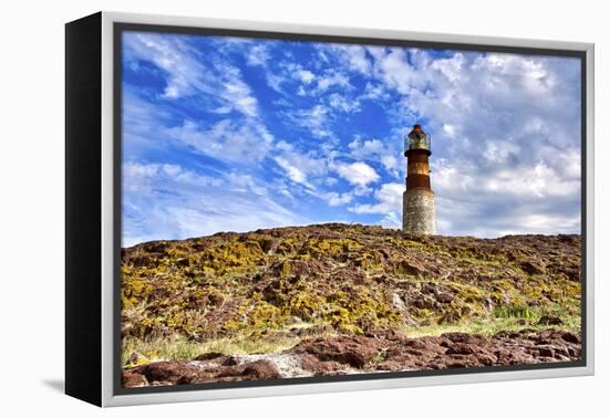 Argentina, Santa Cruz. Puerto Deseado, Penguin Island.-Michele Molinari-Framed Premier Image Canvas