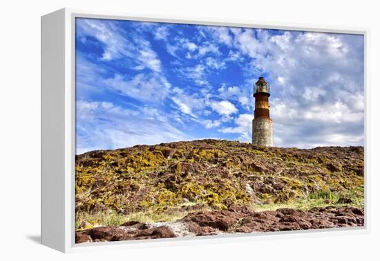 Argentina, Santa Cruz. Puerto Deseado, Penguin Island.-Michele Molinari-Framed Premier Image Canvas