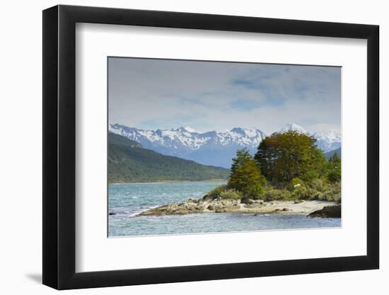 Argentina. Tierra Del Fuego. Tierra Del Fuego National Park. the Coastal Trail-Inger Hogstrom-Framed Photographic Print