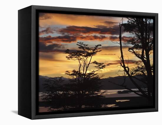 Argentina, Ushuaia, Sunrise-John Ford-Framed Premier Image Canvas