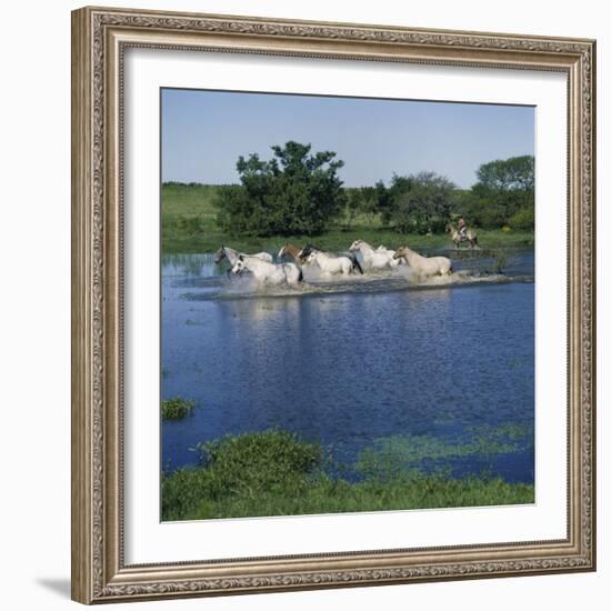 Argentina-null-Framed Photographic Print