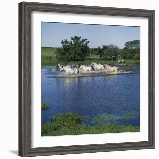 Argentina-null-Framed Photographic Print