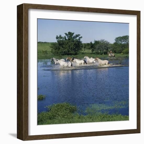 Argentina-null-Framed Photographic Print