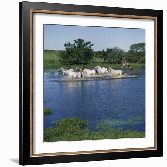 Argentina-null-Framed Photographic Print