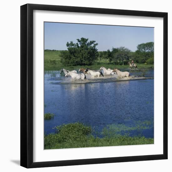 Argentina-null-Framed Photographic Print