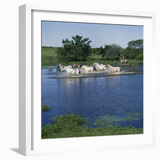 Argentina-null-Framed Photographic Print