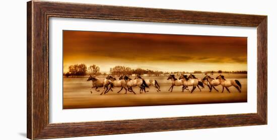 Argentine Horses-Bobbie Goodrich-Framed Giclee Print