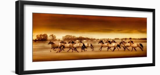 Argentine Horses-Bobbie Goodrich-Framed Giclee Print