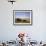 Argentinian Cowboy, known as a Gaucho, Herding Cattle on the Pampas-null-Framed Photographic Print displayed on a wall