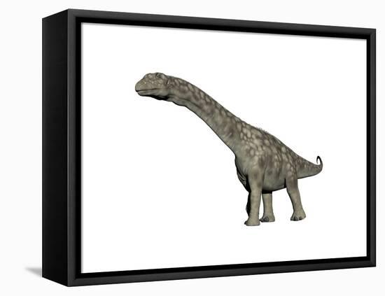 Argentinosaurus Dinosaur, White Background-null-Framed Stretched Canvas