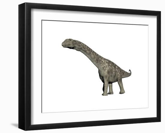 Argentinosaurus Dinosaur, White Background-null-Framed Art Print