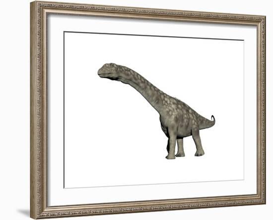 Argentinosaurus Dinosaur, White Background-null-Framed Art Print