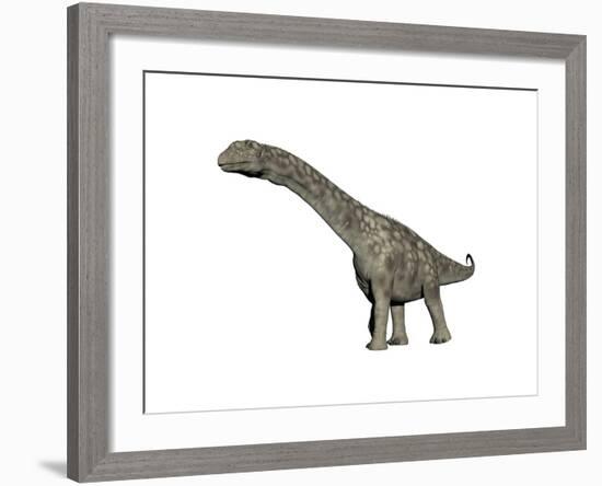 Argentinosaurus Dinosaur, White Background-null-Framed Art Print