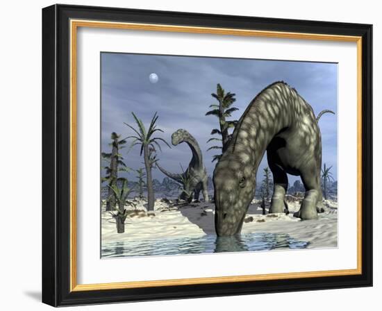 Argentinosaurus Dinosaurs Grazing in the Desert-Stocktrek Images-Framed Art Print