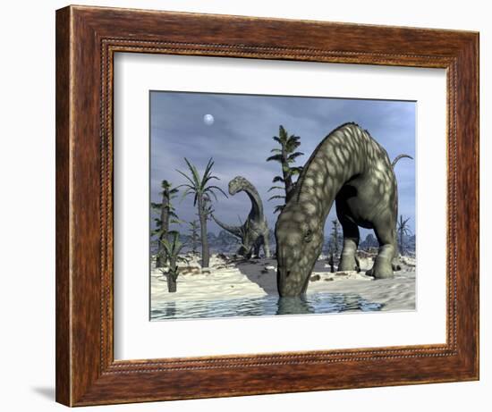 Argentinosaurus Dinosaurs Grazing in the Desert-Stocktrek Images-Framed Art Print