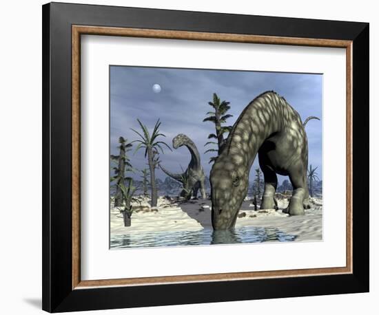 Argentinosaurus Dinosaurs Grazing in the Desert-Stocktrek Images-Framed Art Print