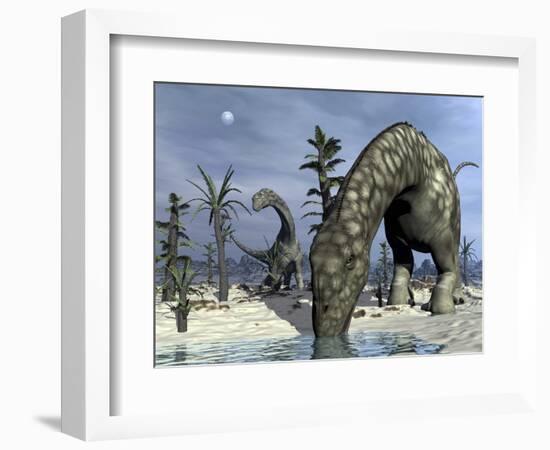 Argentinosaurus Dinosaurs Grazing in the Desert-Stocktrek Images-Framed Art Print