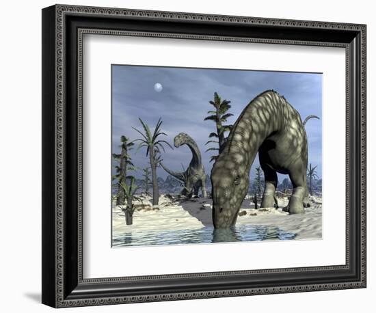 Argentinosaurus Dinosaurs Grazing in the Desert-Stocktrek Images-Framed Art Print