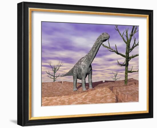 Argentinosaurus Standing on the Cracked Desert Ground Next to Dead Trees-null-Framed Art Print