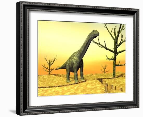 Argentinosaurus Standing on the Cracked Desert Ground Next to Dead Trees-null-Framed Art Print