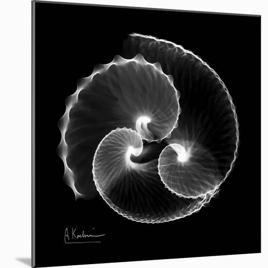 Argonaut Xray-Albert Koetsier-Mounted Art Print