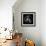 Argonaut Xray-Albert Koetsier-Framed Art Print displayed on a wall