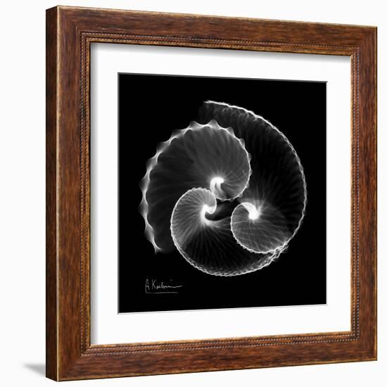 Argonaut Xray-Albert Koetsier-Framed Art Print