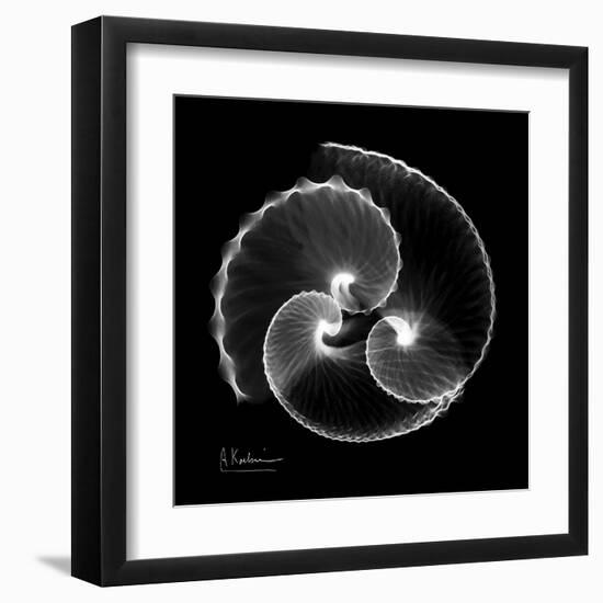 Argonaut Xray-Albert Koetsier-Framed Art Print