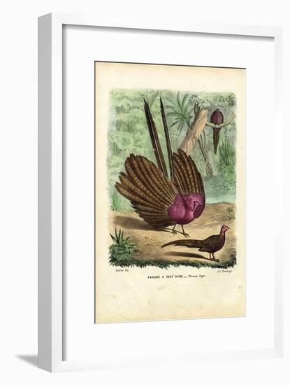 Argus Pheasant, 1863-79-Raimundo Petraroja-Framed Giclee Print