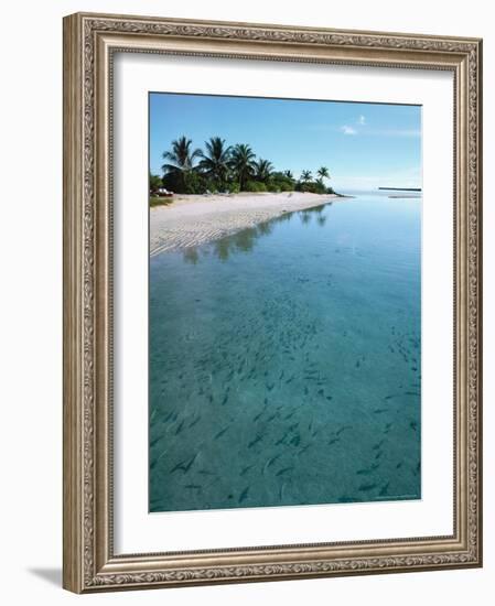 Ari Atoll, White Sands Island and Resort-Angelo Cavalli-Framed Photographic Print