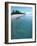 Ari Atoll, White Sands Island and Resort-Angelo Cavalli-Framed Photographic Print