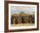 Ari Women Standing Outside House, Lower Omo Valley, Ethiopia, Africa-Jane Sweeney-Framed Photographic Print