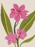 Vivid Tropical - Flower-Aria Ellis-Giclee Print