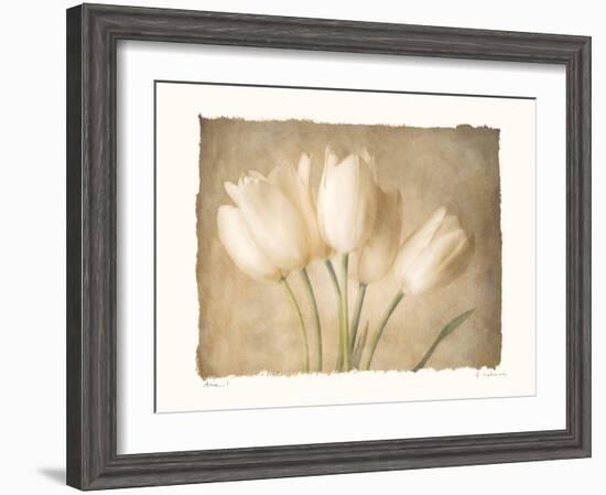 Aria I-Amy Melious-Framed Art Print