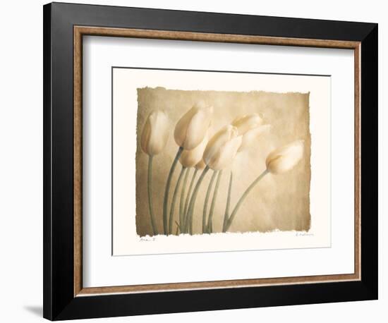 Aria II-Amy Melious-Framed Art Print