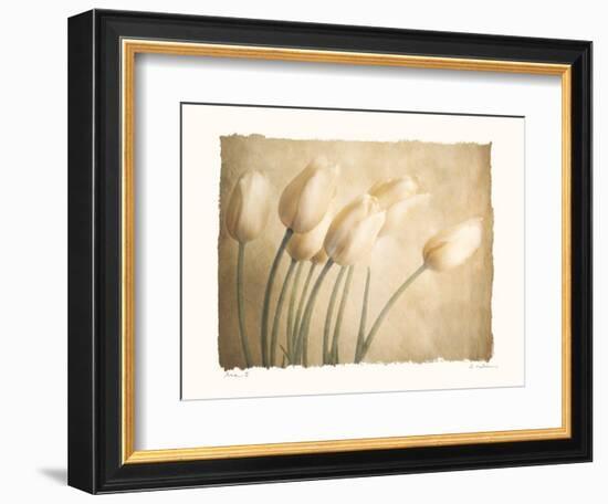 Aria II-Amy Melious-Framed Art Print