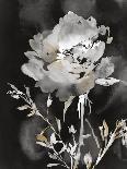 Moody Floral I-Aria K-Art Print