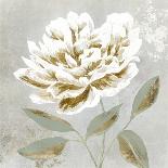 Enchanted Blooms II-Aria K-Art Print