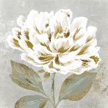 White Sage II-Aria K-Art Print