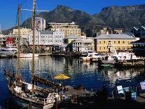 Victoria and Alfred Waterfront, Cape Town, South Africa-Ariadne Van Zandbergen-Photographic Print