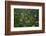 Arial View of Rainforest Village-W. Perry Conway-Framed Photographic Print