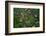 Arial View of Rainforest Village-W. Perry Conway-Framed Photographic Print