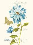 September Blue Aster-Ariane Sarah-Framed Premium Giclee Print