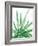 Arid - Aloe-Kristine Hegre-Framed Giclee Print