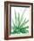 Arid - Aloe-Kristine Hegre-Framed Giclee Print