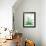 Arid - Aloe-Kristine Hegre-Framed Giclee Print displayed on a wall