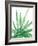 Arid - Aloe-Kristine Hegre-Framed Giclee Print