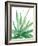 Arid - Aloe-Kristine Hegre-Framed Giclee Print